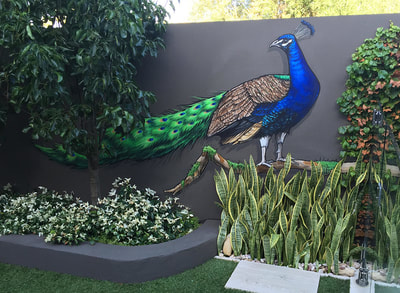 Peacock mural painted in a garden setting