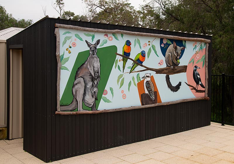 Outdoor street art mural on the side of a pool pump-house. It features native Australian birds, plants and animals.