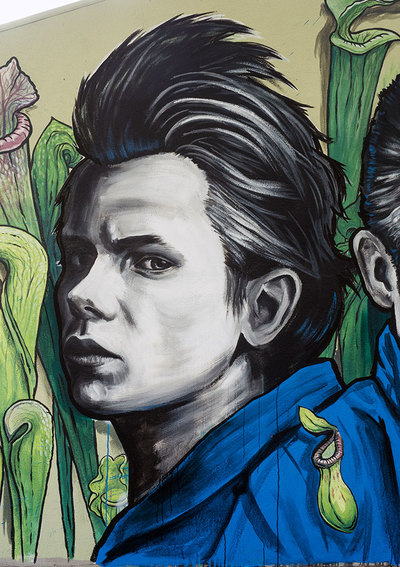 "River Phoenix" detail from wall mural